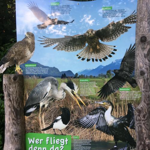 Schautafel2