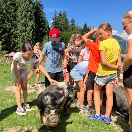 alpenschule8