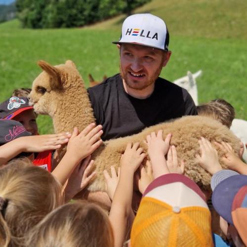 kleines Alpaka