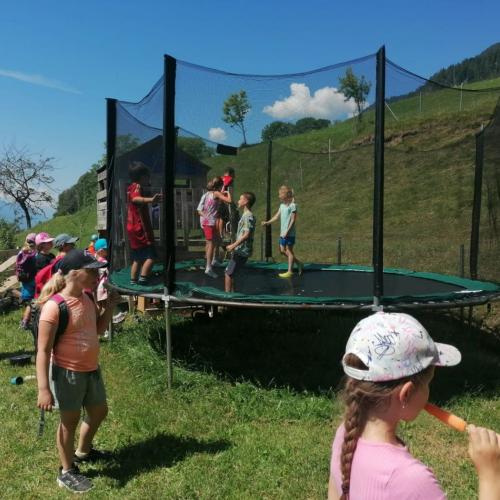 Trampolin
