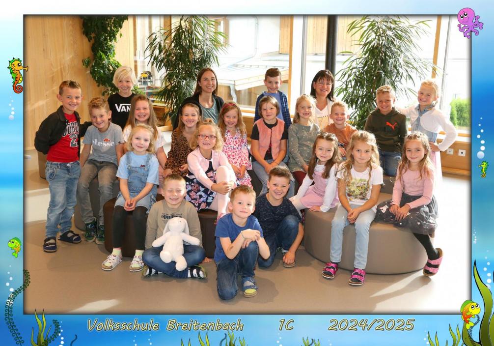 1c