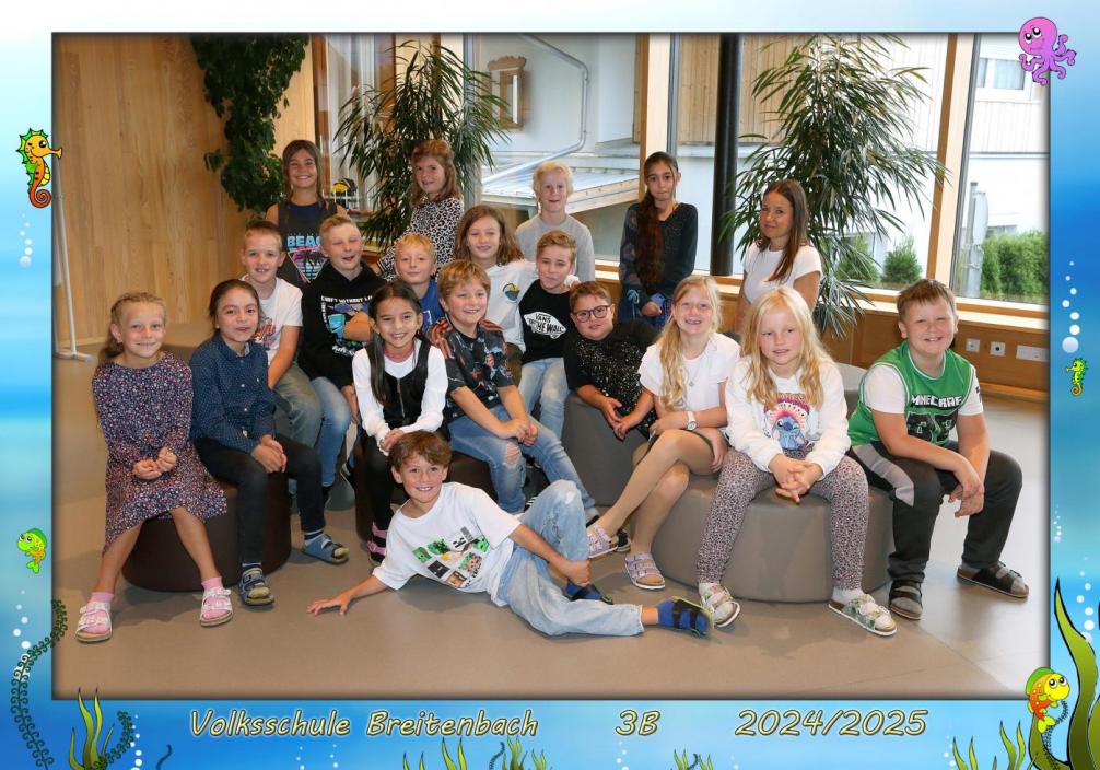 3b