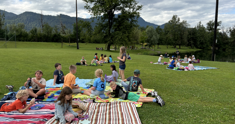 Lesepicknick1
