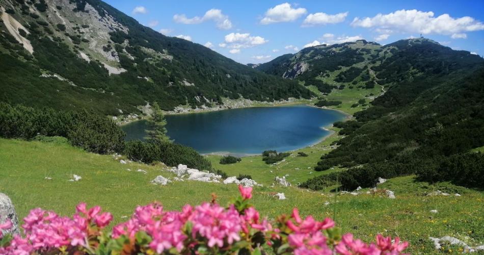 Zireinersee
